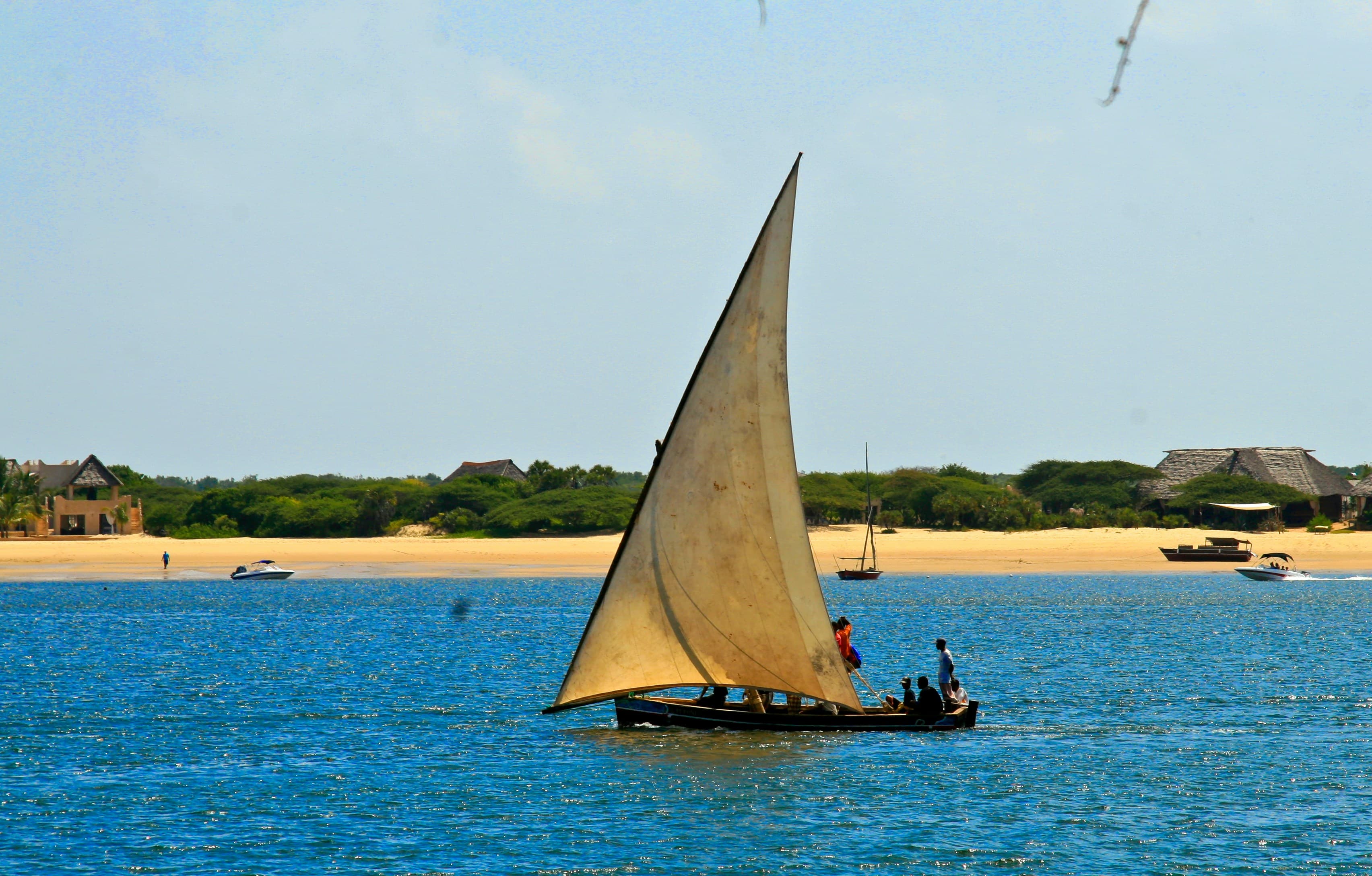 Coastal Culture