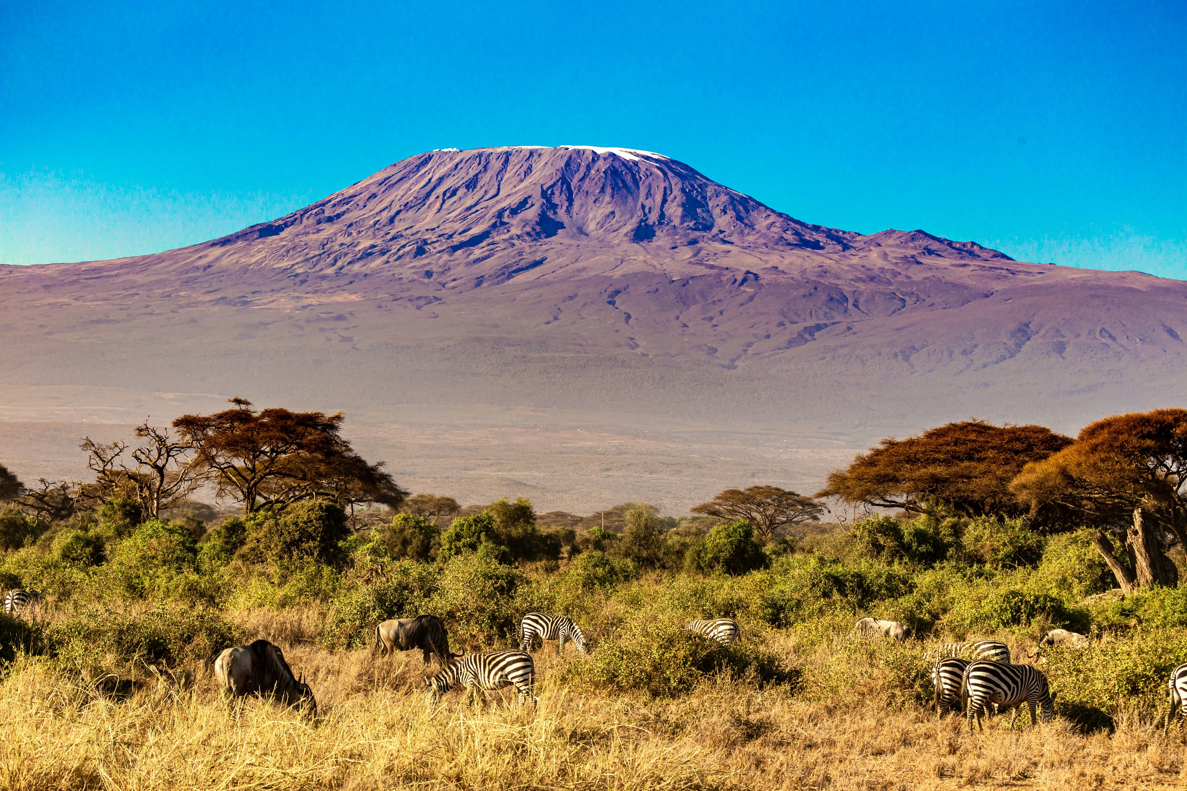 Mount Kenya Summit Trek